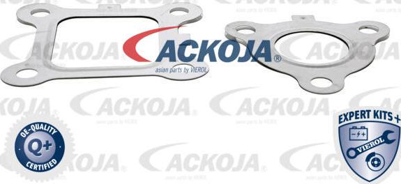 ACKOJA A53-63-0001 - Клапан возврата ОГ unicars.by