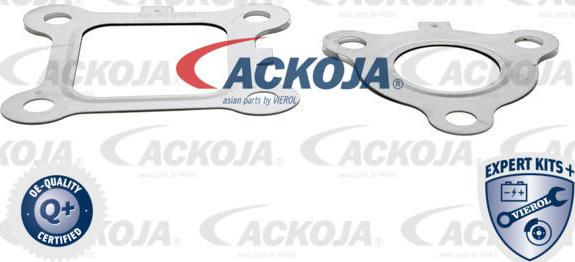 ACKOJAP A53-63-0001 - Клапан возврата ОГ unicars.by