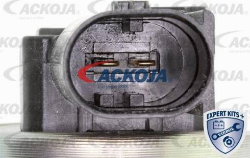 ACKOJAP A38-0287 - Комплект подшипника ступицы колеса unicars.by