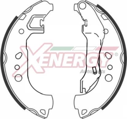 AP XENERGY X50731 - Комплект тормозных колодок, барабанные unicars.by