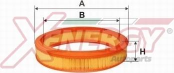 AP XENERGY X159324 - Воздушный фильтр, двигатель unicars.by