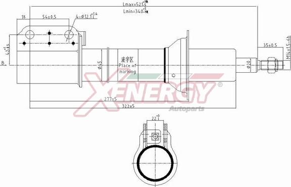 AP XENERGY X808333 - Амортизатор unicars.by