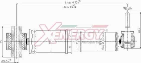 AP XENERGY X704344 - Амортизатор unicars.by