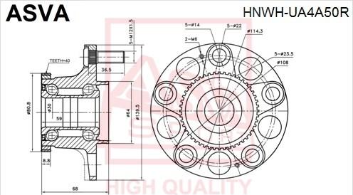 ASVA HNWH-UA4A50R - Ступица колеса, поворотный кулак unicars.by