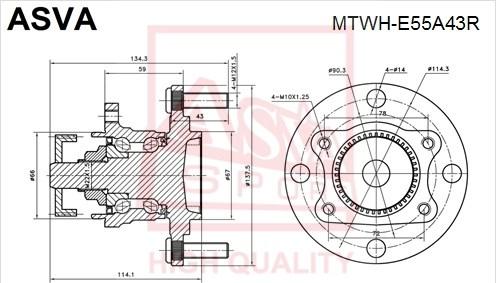 ASVA MTWH-E55A43R - Ступица колеса, поворотный кулак unicars.by