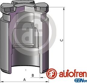 AUTOFREN SEINSA D025542 - Поршень, корпус скобы тормоза unicars.by