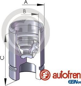 AUTOFREN SEINSA D02589 - Поршень, корпус скобы тормоза unicars.by