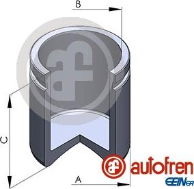 AUTOFREN SEINSA D025802 - Поршень, корпус скобы тормоза unicars.by