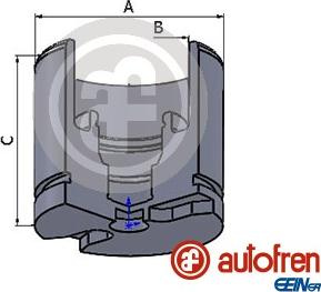 AUTOFREN SEINSA D025256 - Поршень, корпус скобы тормоза unicars.by