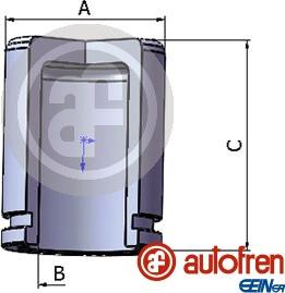 AUTOFREN SEINSA D025226 - Поршень, корпус скобы тормоза unicars.by