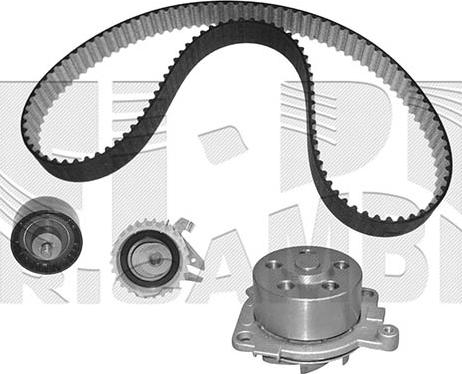 Autoteam KATW1295 - Водяной насос + комплект зубчатого ремня ГРМ unicars.by