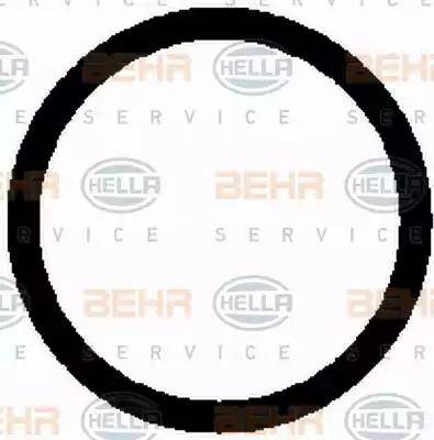 BEHR HELLA Service 8FK 351 117-011 - Компрессор кондиционера unicars.by