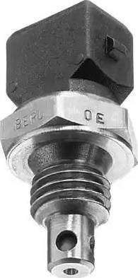 BorgWarner (BERU) ST036 - Датчик, температура впускаемого воздуха unicars.by