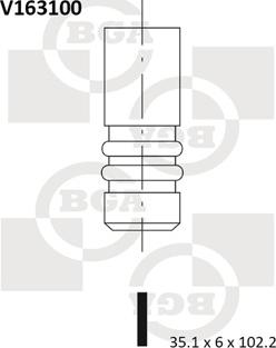 BGA V163100 - Впускной клапан unicars.by