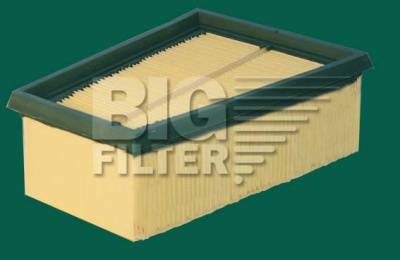 BIG Filter GB-9719 - Воздушный фильтр, двигатель unicars.by