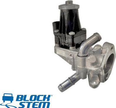 BlockStem EGR0325 - Клапан возврата ОГ unicars.by