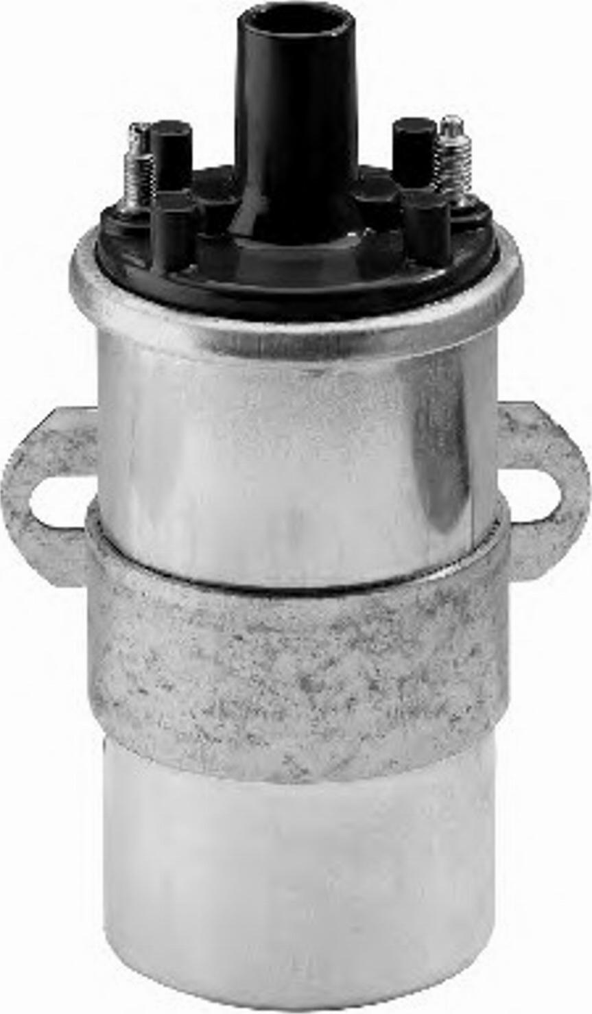 BorgWarner (BERU) 0 040 100 117 - Катушка зажигания unicars.by