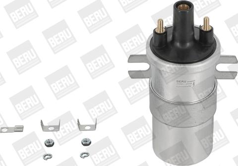 BorgWarner (BERU) ZS563 - Катушка зажигания unicars.by