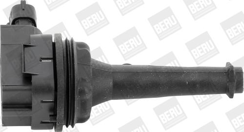 BorgWarner (BERU) ZSE019 - Катушка зажигания unicars.by