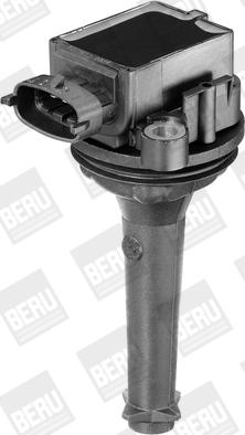 BorgWarner (BERU) ZSE019 - Катушка зажигания unicars.by