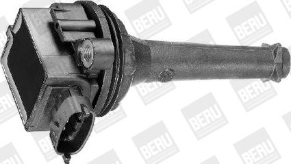 BorgWarner (BERU) ZSE019 - Катушка зажигания unicars.by