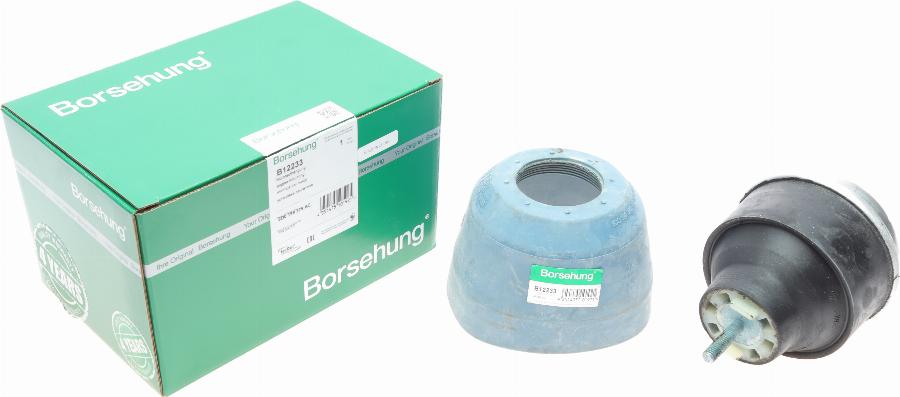 Borsehung B12233 - Подушка, опора, подвеска двигателя unicars.by