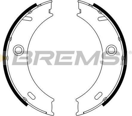 Bremsi GF0307 - Комплект тормозов, ручник, парковка unicars.by