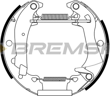 Bremsi GK0124 - Комплект тормозных колодок, барабанные unicars.by