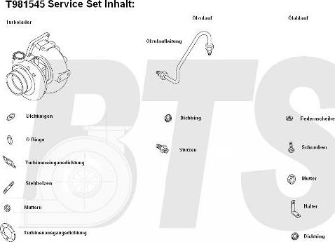 BTS Turbo T981545BL - Турбина, компрессор unicars.by