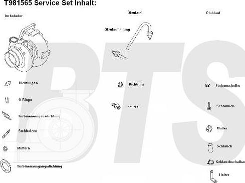 BTS Turbo T981565 - Турбина, компрессор unicars.by