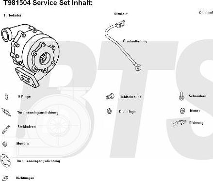 BTS Turbo T981504 - Турбина, компрессор unicars.by