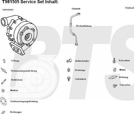 BTS Turbo T981505 - Турбина, компрессор unicars.by