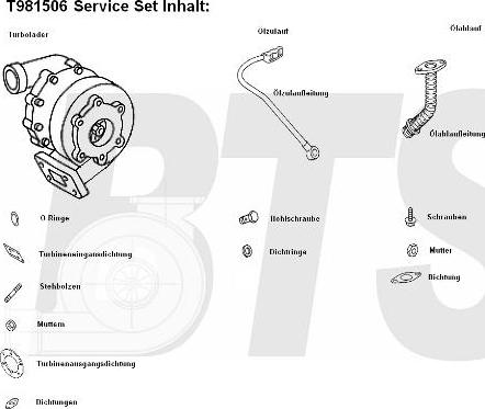 BTS Turbo T981506 - Турбина, компрессор unicars.by