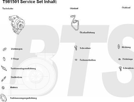 BTS Turbo T981501 - Турбина, компрессор unicars.by