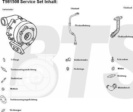 BTS Turbo T981508 - Турбина, компрессор unicars.by