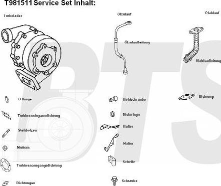 BTS Turbo T981511 - Турбина, компрессор unicars.by