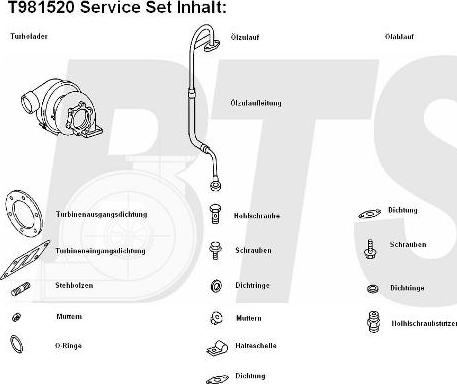 BTS Turbo T981520 - Турбина, компрессор unicars.by