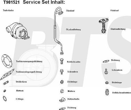 BTS Turbo T981521 - Турбина, компрессор unicars.by