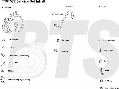 BTS Turbo T981572 - Турбина, компрессор unicars.by