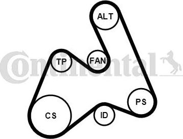 Contitech 5PK1592K1 - Поликлиновый ременный комплект unicars.by