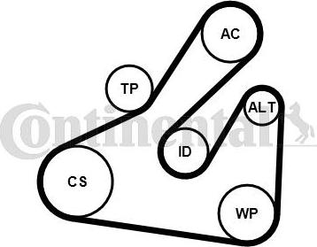CONTITECH 5PK1745WP1 - Водяной насос + комплект ручейковых ремней unicars.by