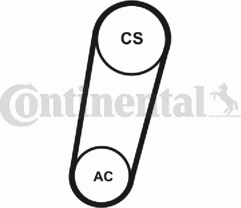 Contitech 5PK705T1 - Поликлиновой ремень unicars.by