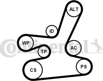 Contitech 6DPK1817WP1 - Водяной насос + комплект ручейковых ремней unicars.by