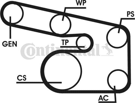 Contitech 6PK1900D1 - Поликлиновый ременный комплект unicars.by