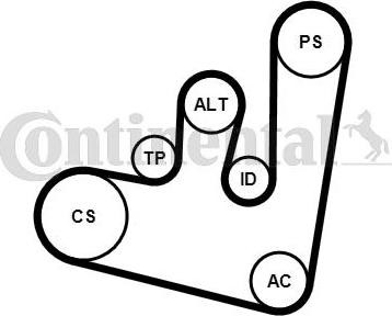 Contitech 6PK1660K1 - Поликлиновый ременный комплект unicars.by