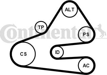 Contitech 6 PK 1613 K1 - Поликлиновый ременный комплект unicars.by