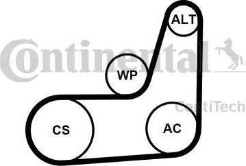 Continental 6PK1029 ELAST T2 - Поликлиновый ременный комплект unicars.by