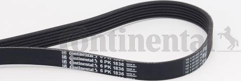 Contitech 6 PK 1836 - Поликлиновой ремень unicars.by