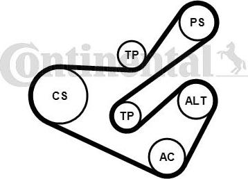 Contitech 6PK1740K1 - Поликлиновый ременный комплект unicars.by