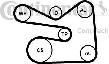 Continental 6PK1733K3 - Поликлиновый ременный комплект unicars.by